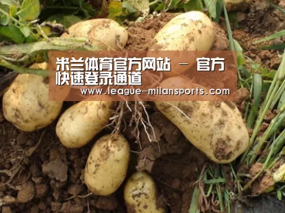 种植基地六