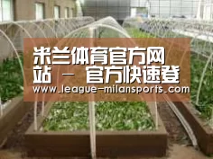 环境展示五