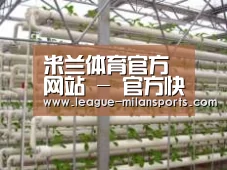 环境展示六
