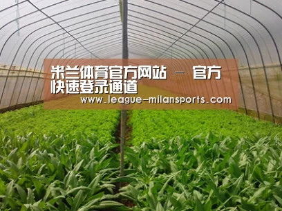 种植基地四