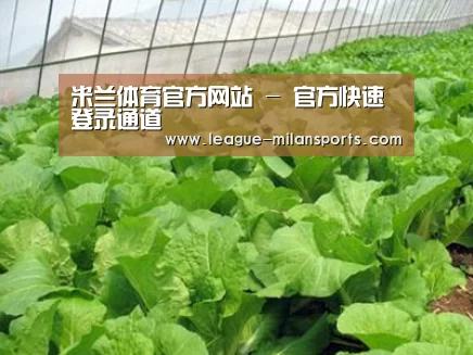 种植基地一