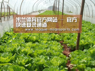 种植基地五