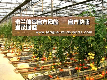 种植基地二