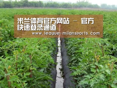 种植基地三