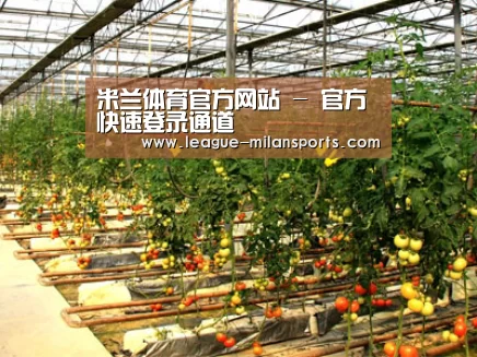 种植基地二(图1)