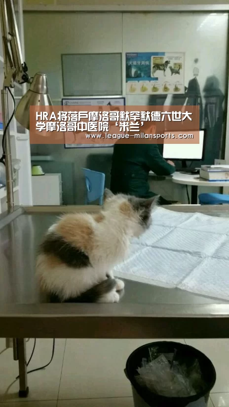 米兰运动